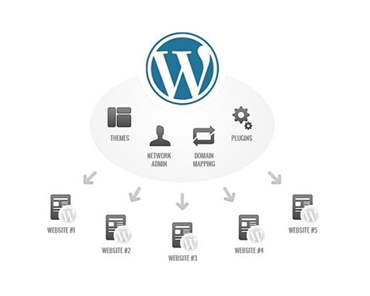 Tại sao dùng WordPress 6 để làm website